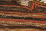 Polished Tiger Iron Stromatolite - ( Billion Years) #72903-1